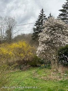 125 Mountain Rest Rd, New Paltz, NY 12561 - photo 34