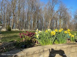125 Mountain Rest Rd, New Paltz, NY 12561 - photo 33
