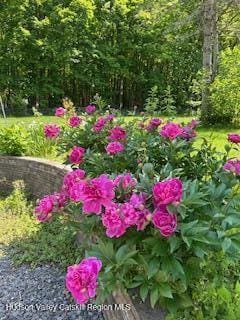 125 Mountain Rest Rd, New Paltz, NY 12561 - photo 35