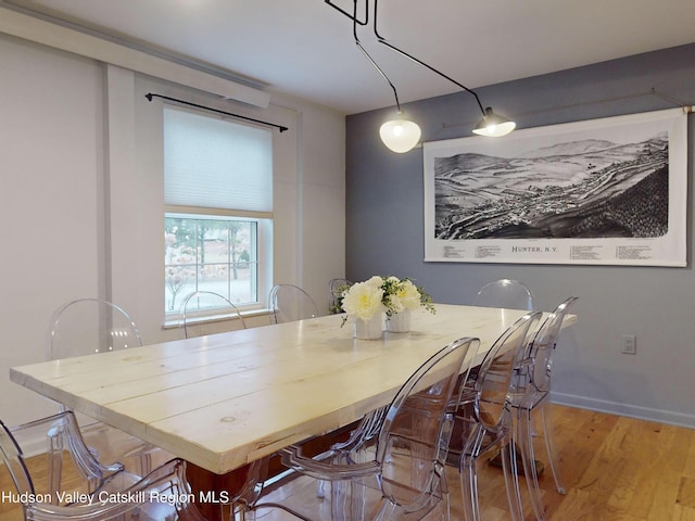 66 Maple Ave, Hunter, NY 12442 - dining space with light wood-style floors and baseboards