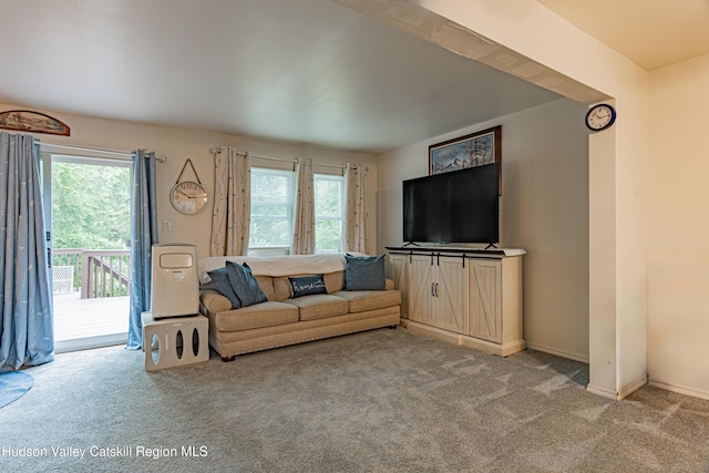 56 Red Maple Rd, Saugerties, NY 12477 - photo 13