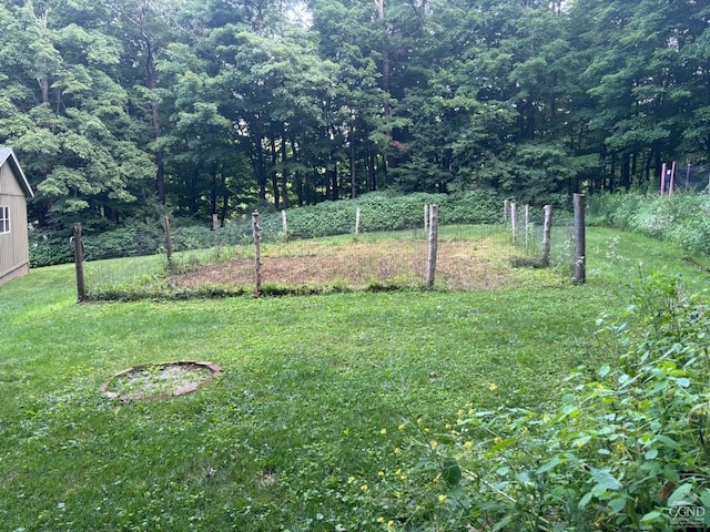 394 Peaceful Valley Rd, Canaan, NY 12029 - view of yard