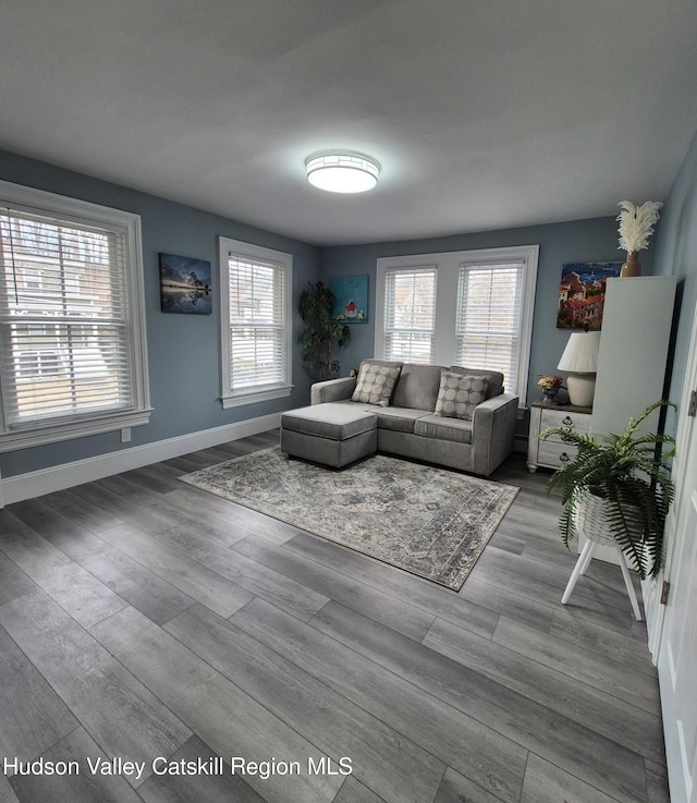 living room with plenty of natural light, baseboards, and wood finished floors