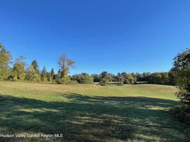 416 Hapeman Hill Rd, Red Hook, NY 12571 - view of green lawn