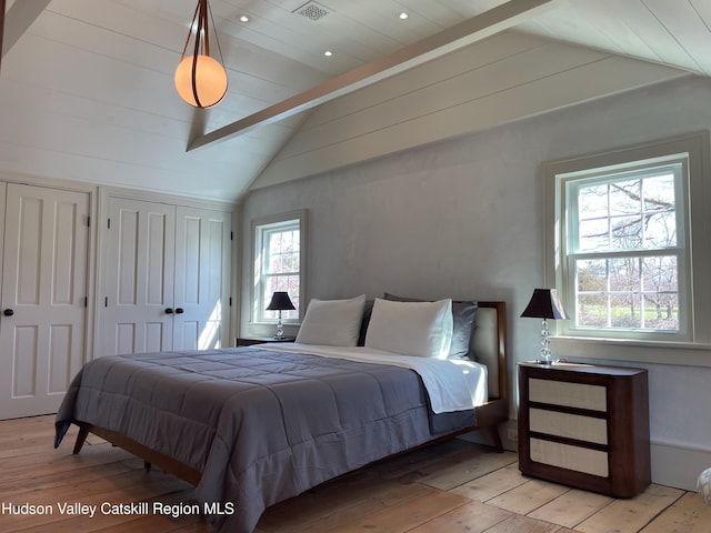 416 Hapeman Hill Rd, Red Hook, NY 12571 - bedroom featuring lofted ceiling, light wood-type flooring, and multiple closets