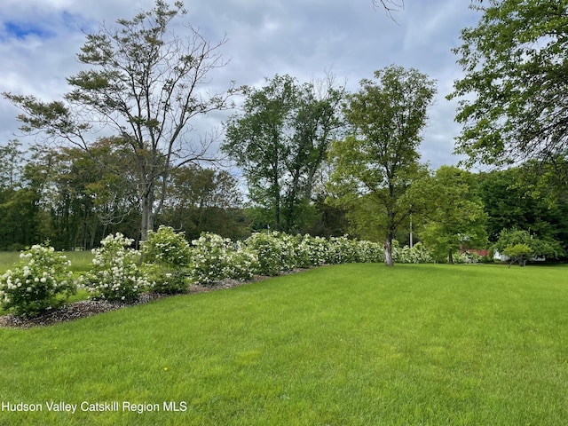 416 Hapeman Hill Rd, Red Hook, NY 12571 - view of grassy yard