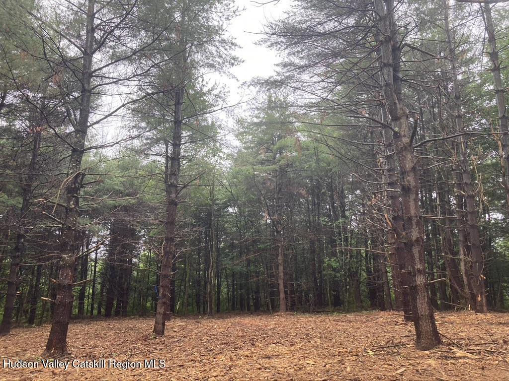 LOT6 County Rte 51, Coxsackie, NY 12051 - photo 1