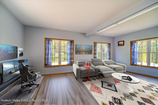 424 Joys Ln, Hurley, NY 12443 - living room featuring baseboards, wood finished floors, and healthy amount of natural light