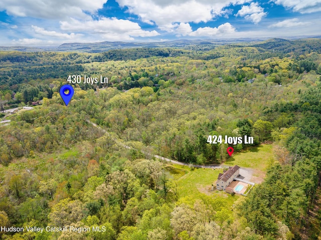 424 Joys Ln, Hurley, NY 12443 - drone / aerial view of a forest