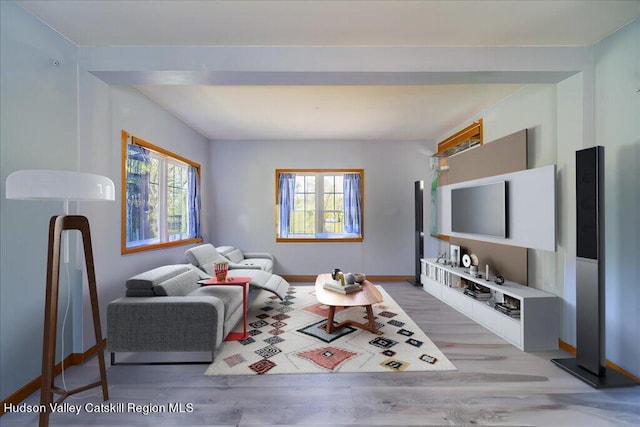 424 Joys Ln, Hurley, NY 12443 - living area featuring healthy amount of natural light, light wood-type flooring, and baseboards