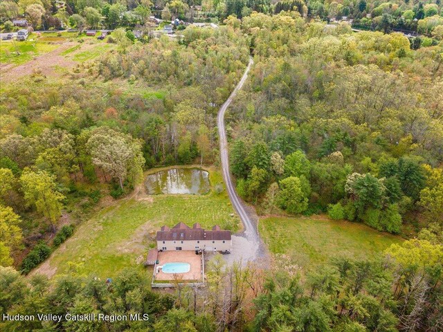 424 Joys Ln, Hurley, NY 12443 - aerial view of property's location with a forest and a nearby body of water