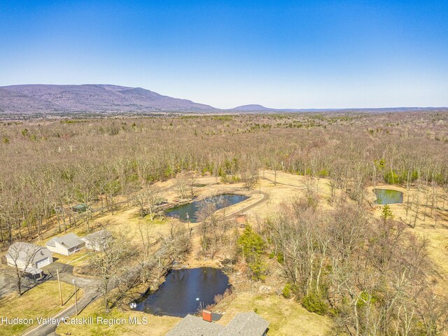 53-55 Stay Rd, Saugerties, NY 12477 - photo 3