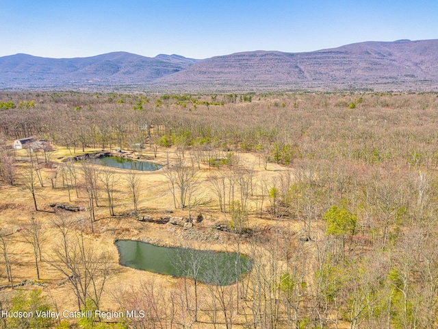 53-55 Stay Rd, Saugerties, NY 12477 - photo 4