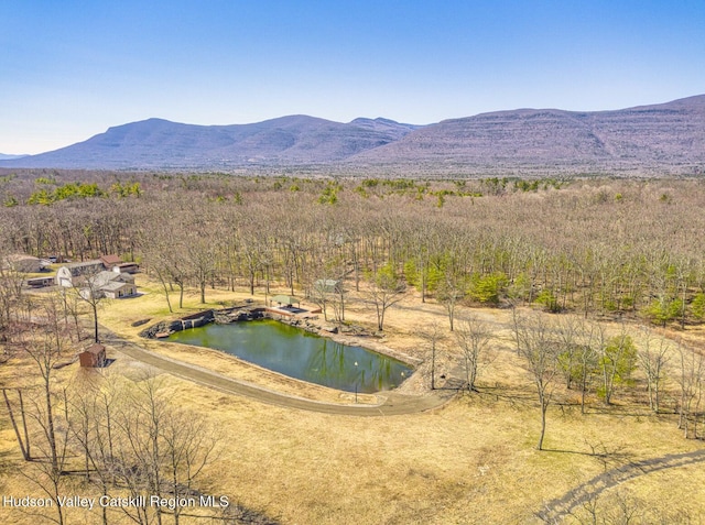53-55 Stay Rd, Saugerties, NY 12477 - photo 5