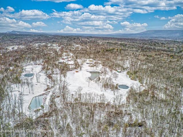 snowy aerial view with a mountain view