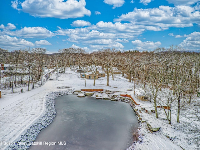 view of snowy aerial view