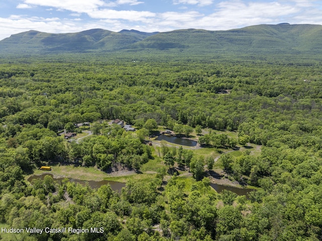 53-55 Stay Rd, Saugerties, NY 12477 - photo 1