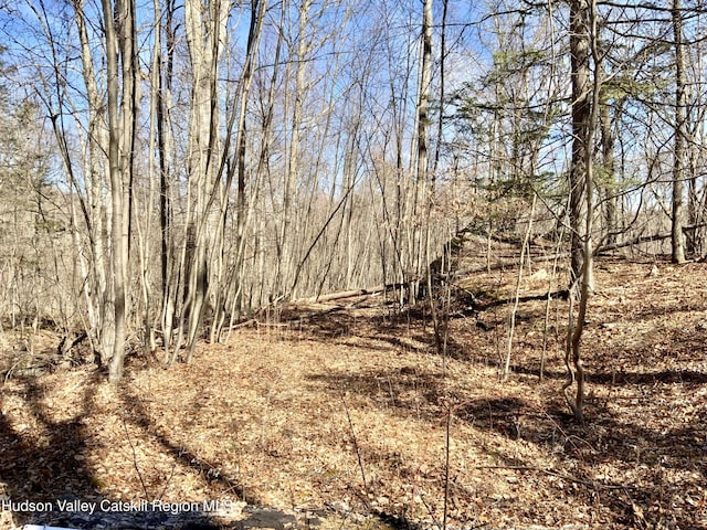 Listing photo 2 for TBD Hawleys Corner Rd, Highland NY 12528