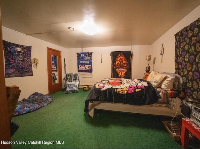 125 County Route 26a, Stuyvesant, NY 12106 - view of carpeted bedroom