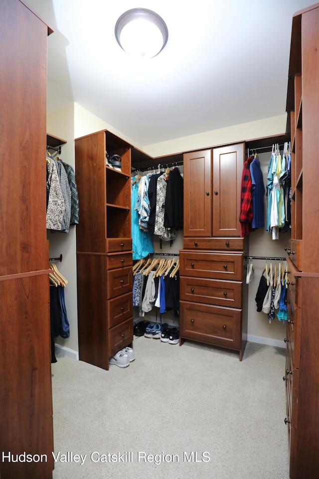 spacious closet featuring light carpet