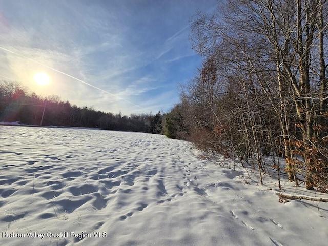 Listing photo 2 for 505 Breezy Hill Rd, Livingston Manor NY 12758