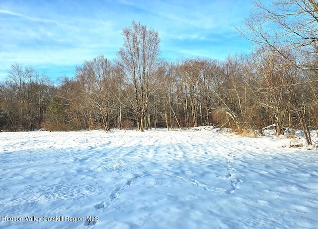 505 Breezy Hill Rd, Livingston Manor NY, 12758 land for sale