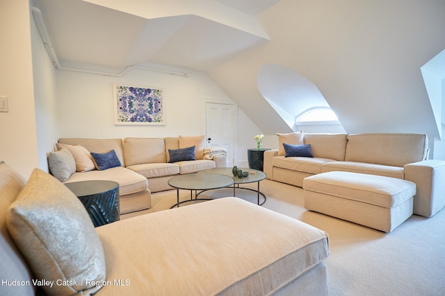 9 Chambers Rd, West Park, NY 12493 - living room featuring lofted ceiling and carpet flooring