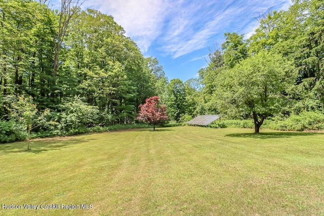 32 Harvey Mountain Rd, Austerlitz, NY 12017 - view of grassy yard featuring an outbuilding