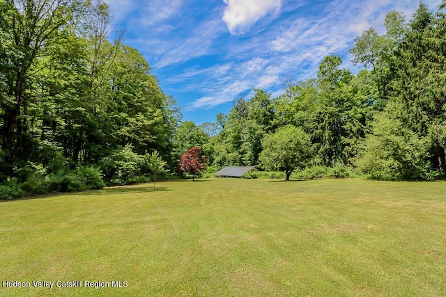 32 Harvey Mountain Rd, Austerlitz, NY 12017 - view of green lawn featuring an outdoor structure