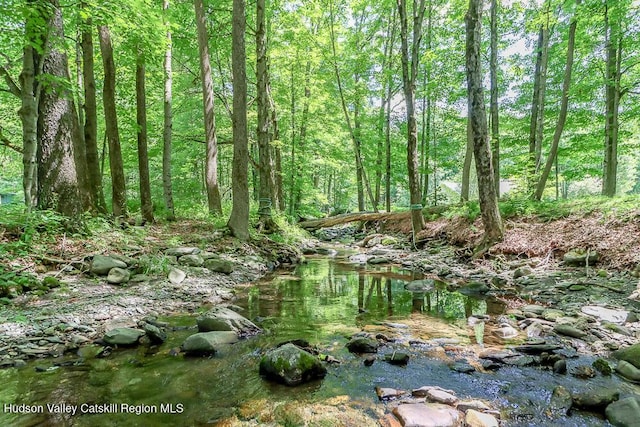 32 Harvey Mountain Rd, Austerlitz, NY 12017 - view of wooded area