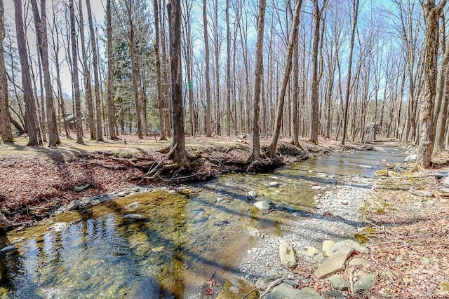32 Harvey Mountain Rd, Austerlitz, NY 12017 - view of local wilderness