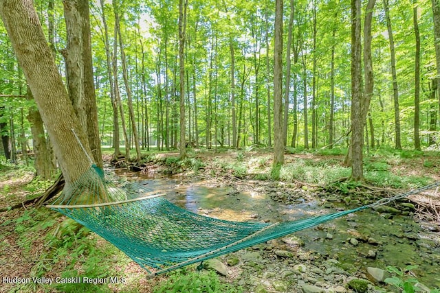 32 Harvey Mountain Rd, Austerlitz, NY 12017 - view of undeveloped land