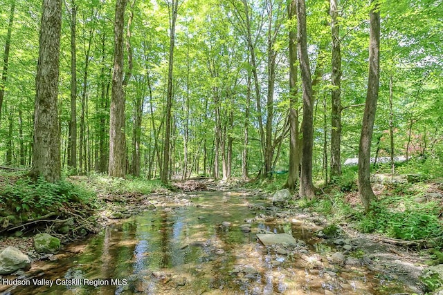 32 Harvey Mountain Rd, Austerlitz, NY 12017 - view of woods