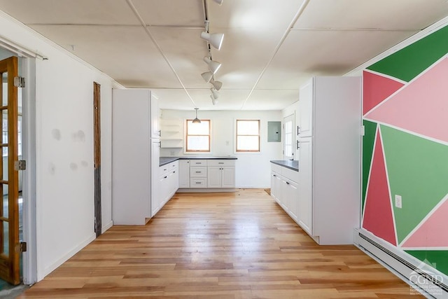 32 Harvey Mountain Rd, Austerlitz, NY 12017 - kitchen with rail lighting, baseboard heating, dark countertops, and light wood-type flooring