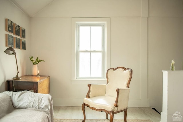 222 Main St, Germantown, NY 12526 - sitting room featuring healthy amount of natural light and vaulted ceiling