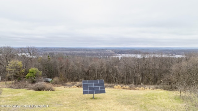 2236 Ny 385, Coxsackie, NY 12051 - exterior space with a forest view