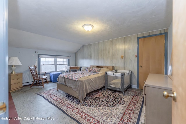 2236 Ny 385, Coxsackie, NY 12051 - bedroom featuring a baseboard radiator and vaulted ceiling