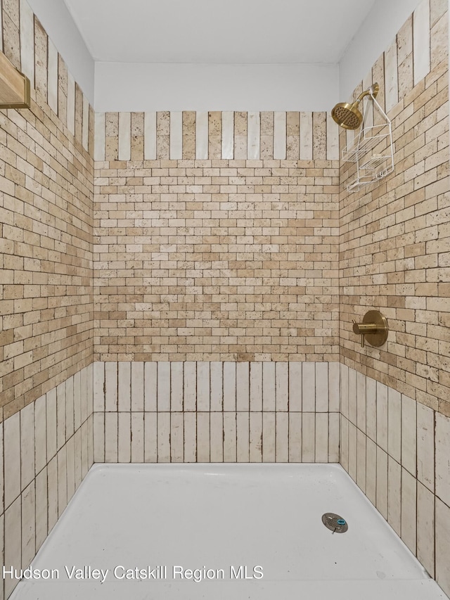 397 Main St, Franklin, NY 13775 - bathroom with a tile shower