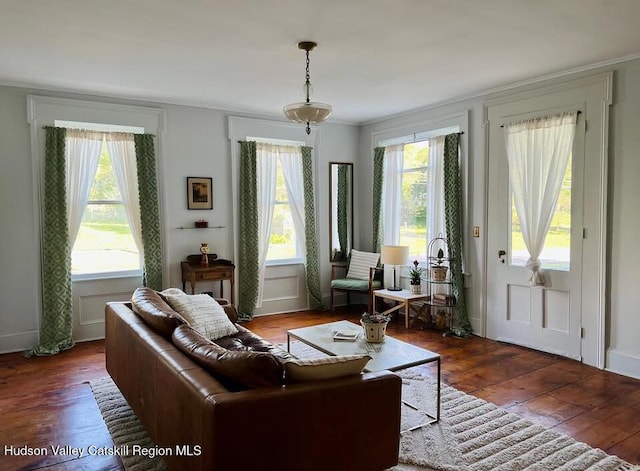 397 Main St, Franklin, NY 13775 - living room featuring wood-type flooring, crown molding, and baseboards