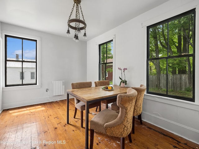 397 Main St, Franklin, NY 13775 - dining space with radiator, light wood finished floors, and plenty of natural light