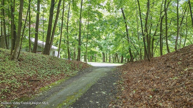 73 E Ave, Walden, NY 12586 - photo 45