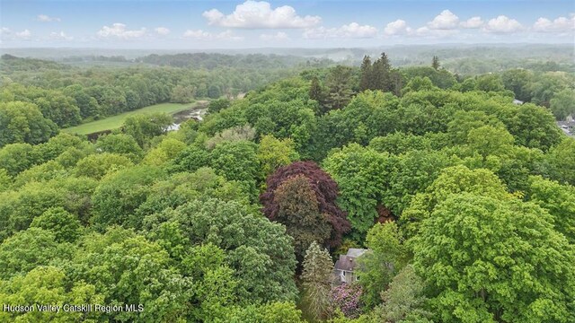 73 E Ave, Walden, NY 12586 - photo 44