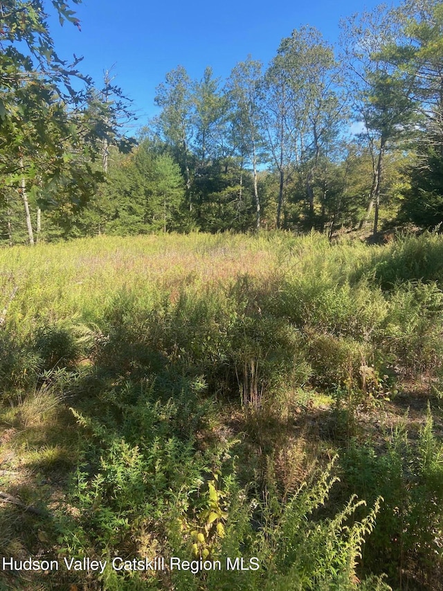 736-738 Manorville Rd, Saugerties, NY 12477 - photo 13