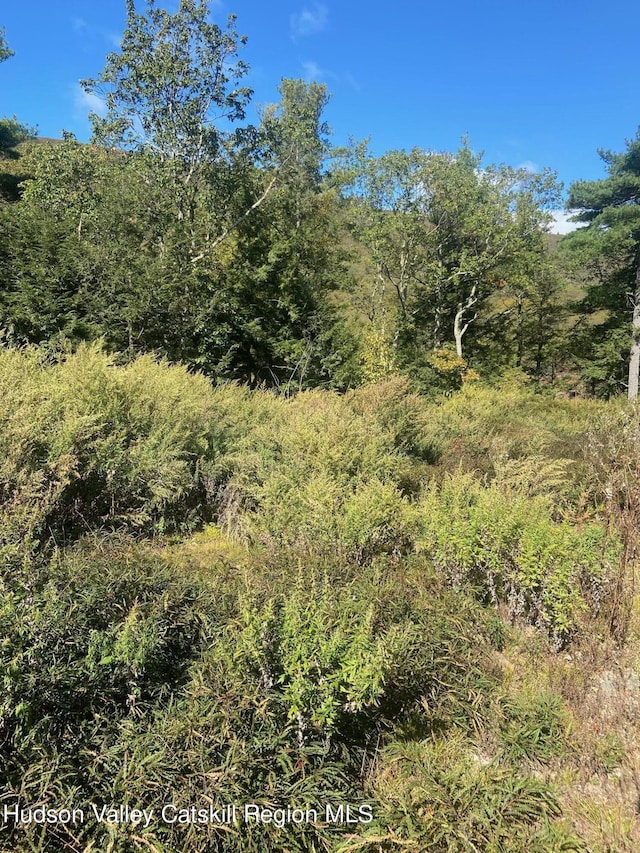 736-738 Manorville Rd, Saugerties, NY 12477 - photo 15
