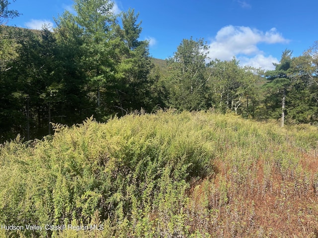 736-738 Manorville Rd, Saugerties, NY 12477 - photo 9