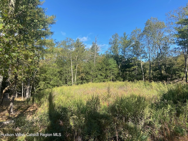 736-738 Manorville Rd, Saugerties, NY 12477 - photo 16