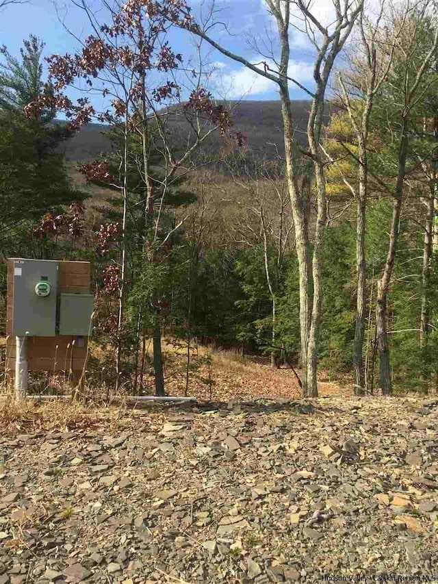 736-738 Manorville Rd, Saugerties, NY 12477 - photo 12