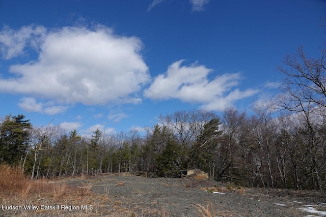 736-738 Manorville Rd, Saugerties, NY 12477 - photo 4