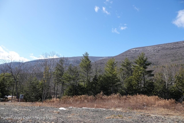 736-738 Manorville Rd, Saugerties, NY 12477 - photo 2