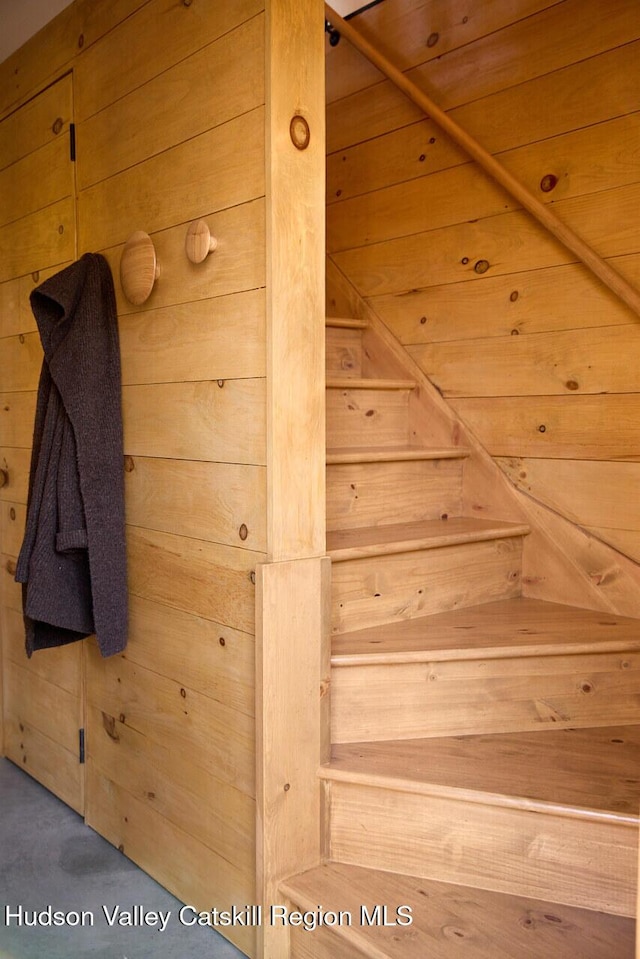 interior space with wooden walls